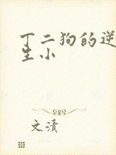 丁二狗的逆袭人生小