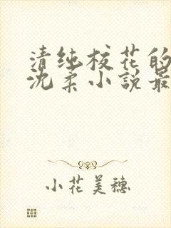 清纯校花的日常沈柔小说最新章节更