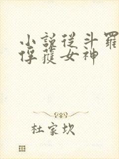 小说从斗罗开始俘获女神