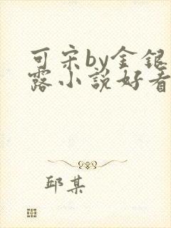可宋by金银花露小说好看吗