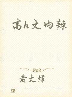 高h文肉辣
