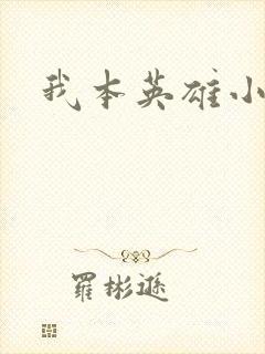 我本英雄小说封面