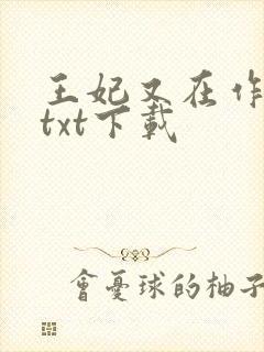 王妃又在作妖了txt下载封面