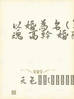 以婚为名 (军魂 高干 婚恋)