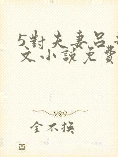 5对夫妻吕哥全文小说免费阅读