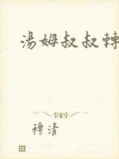 汤姆叔叔转接口