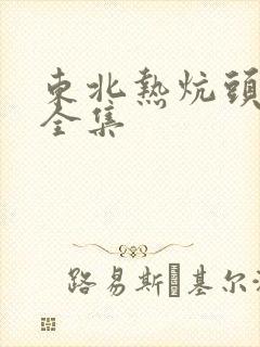 东北热炕头小说全集封面