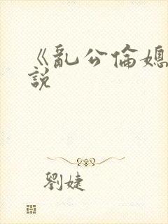《乱公伦媳》小说封面