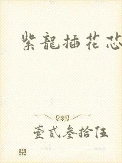 紫龙插花芯封面