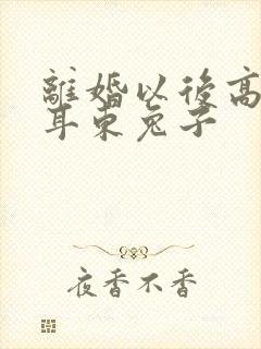 离婚以后高干 耳东兔子封面