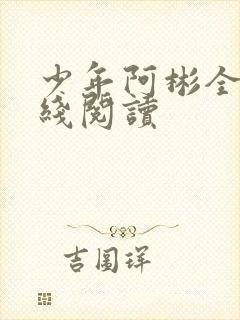 少年阿彬全文在线阅读封面