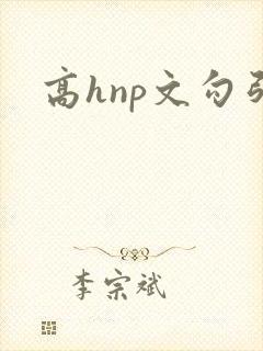 高hnp文勾引