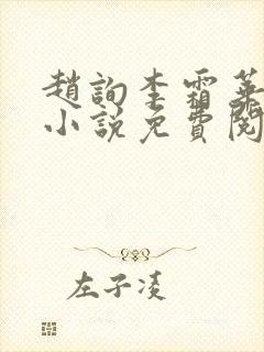赵询李霜华宸妃小说免费阅读