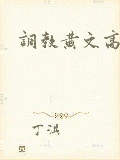 调教黄文高h
