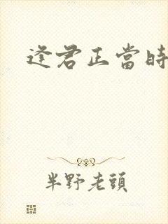 逢君正当时