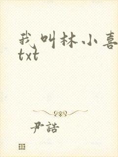 我叫林小喜小说txt