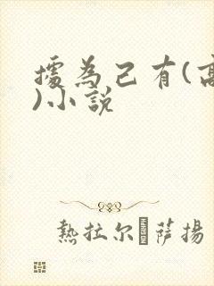 据为己有(高干)小说