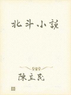北斗小说
