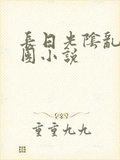 长日光阴乱作一团小说
