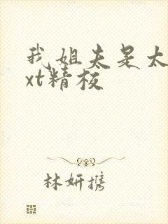 我姐夫是太子txt精校