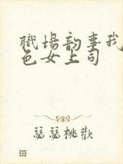 职场韵事我的绝色女上司