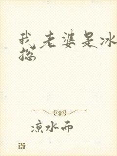 我老婆是冰山女总封面