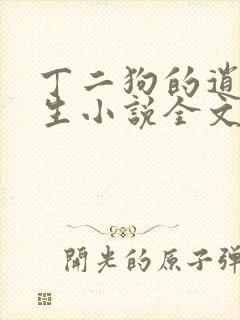 丁二狗的逍遥人生小说全文阅读免费阅读封面
