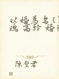 以婚为名 (军魂 高干 婚恋)