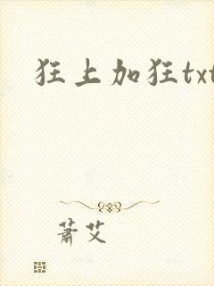 狂上加狂txt