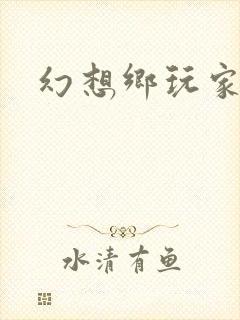 幻想乡玩家封面
