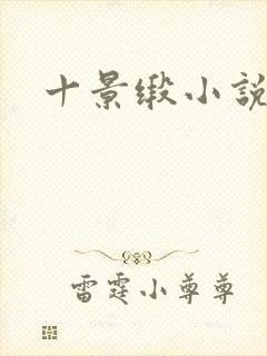 十景缎小说封面