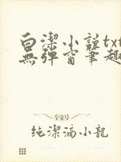 白洁小说txt无弹窗笔趣阁