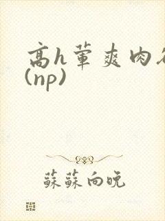 高h荤爽肉欲文(np)