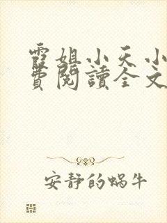 霞姐小天小说免费阅读全文无弹窗
