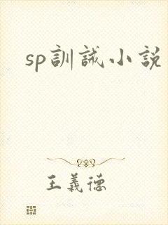 sp训诫小说