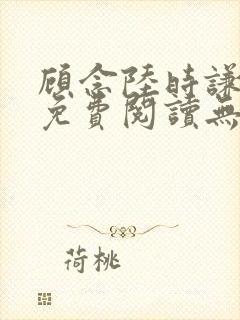 顾念陆时谦小说免费阅读无弹窗