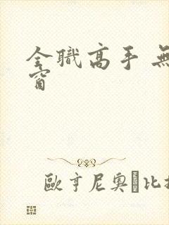 全职高手 无弹窗