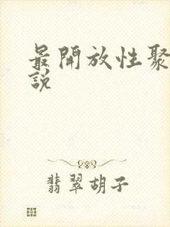 最开放性聚会小说