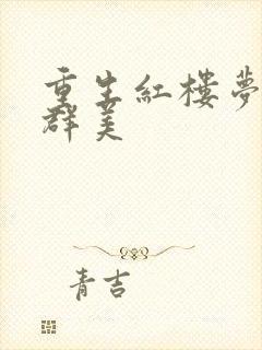 重生红楼梦之御群美