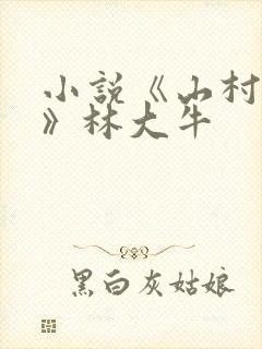 小说《山村情事》林大牛
