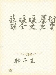 苏暖暖厉衍琛小说全文免费阅读