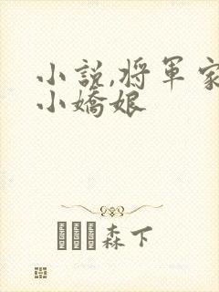 小说,将军家的小娇娘