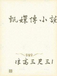 甄嬛传小说