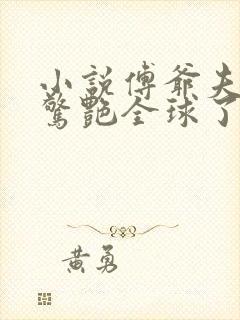 小说傅爷夫人又惊艳全球了免费阅读