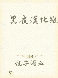黑夜汉化组