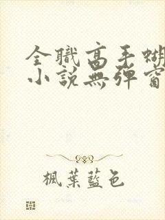 全职高手蝴蝶蓝小说无弹窗免费阅读
