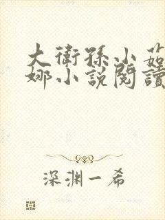 大卫孙小茹李莉娜小说阅读全文