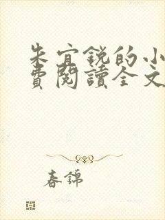 朱宜锐的小说免费阅读全文