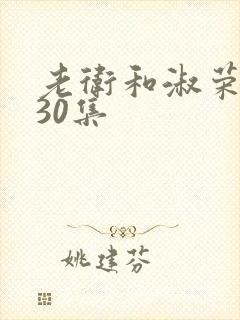 老卫和淑荣1一30集
