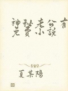 神秘老公有点坏免费小说